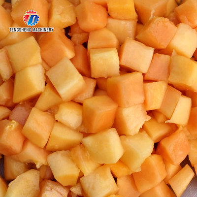 Flat Cut Moving Wheels Fruit Dicing Machine Double Headed Vegetable Pineapple Jackfruit