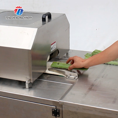 1500KG/H Commercial bulk aloe Vera peeling machine Aloe processing peeling machine