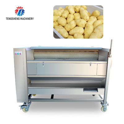 250KG Carrot Brush Cleaning And Peeling Machine Brush Cleaning Machine