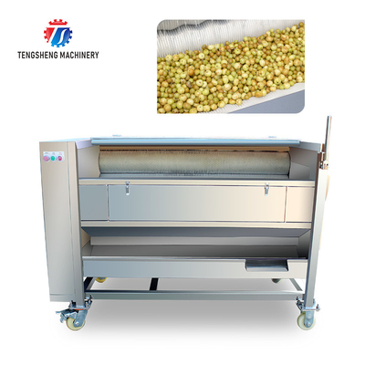 250KG Carrot Brush Cleaning And Peeling Machine Brush Cleaning Machine