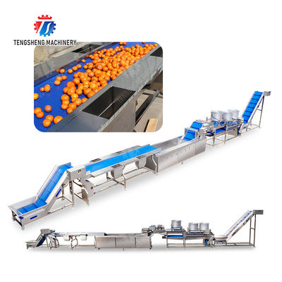 1500KG/H Orange Selection Fruit And Vegetable Processing Line