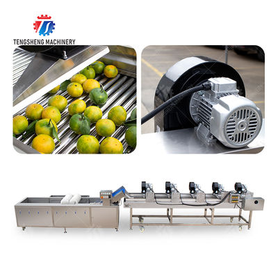 Fruits cleaning and drying production line Fruit Vegetable FOOD processing production Machine
