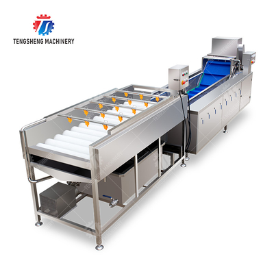 Vegetable and fruit brush and washing production line Fruit Vegetable FOOD processing production Machine
