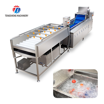 Vegetable and fruit brush and washing production line Fruit Vegetable FOOD processing production Machine