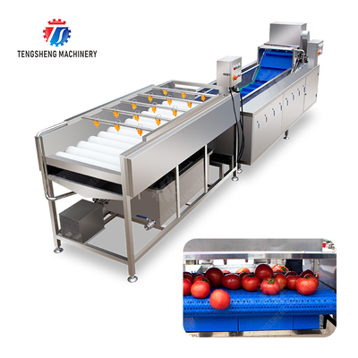 Vegetable and fruit brush and washing production line Fruit Vegetable FOOD processing production Machine