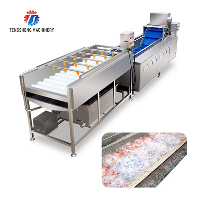 Vegetable and fruit brush and washing production line Fruit Vegetable FOOD processing production Machine