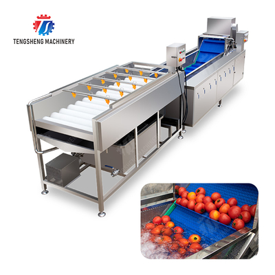 Vegetable and fruit brush and washing production line Fruit Vegetable FOOD processing production Machine