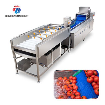 Vegetable and fruit brush and washing production line Fruit Vegetable FOOD processing production Machine