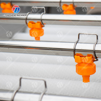 Vegetable and fruit brush and washing production line Fruit Vegetable FOOD processing production Machine