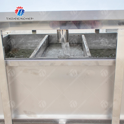 Vegetable and fruit brush and washing production line Fruit Vegetable FOOD processing production Machine