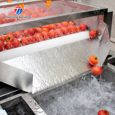 Vegetable and fruit brush and washing production line Fruit Vegetable FOOD processing production Machine