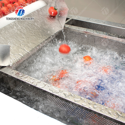 Vegetable and fruit brush and washing production line Fruit Vegetable FOOD processing production Machine