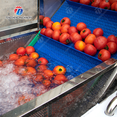 Vegetable and fruit brush and washing production line Fruit Vegetable FOOD processing production Machine