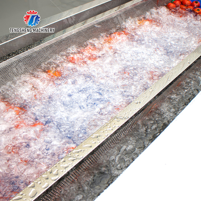 Vegetable and fruit brush and washing production line Fruit Vegetable FOOD processing production Machine