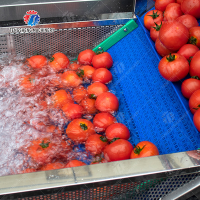 Vegetable and fruit brush and washing production line Fruit Vegetable FOOD processing production Machine