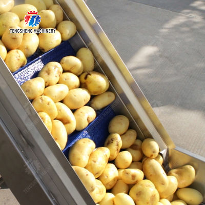 Brush washing and hoisting production line Ginger Potato Carrot Taro Sweet potato Yam processing production Machine