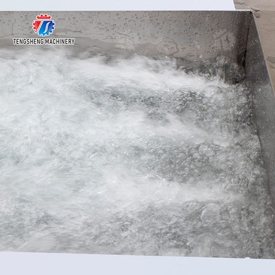Vegetables bubblewashing machine Leaves Vegetables Onions Leafy vegetables Cabbage varieties Herbs Fruiting vegetables Wash Washer Washing Cleaning processing production