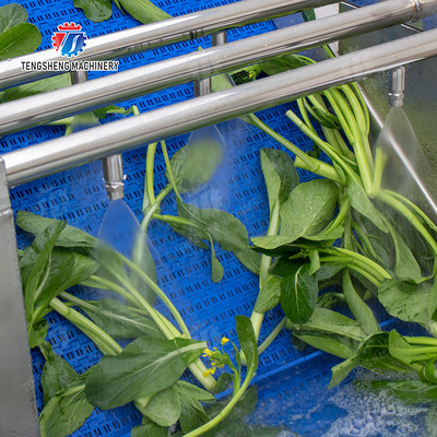 Vegetables bubblewashing machine Leaves Vegetables Onions Leafy vegetables Cabbage varieties Herbs Fruiting vegetables Wash Washer Washing Cleaning processing production