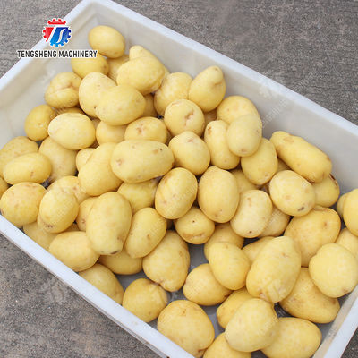 Fruit Orange Vegetable Leaves Vegetables sward beans  soybeans  green beans  chickpeas beans  red beans  mung beans  green peas beans canning Potato Screw shaft brush machine