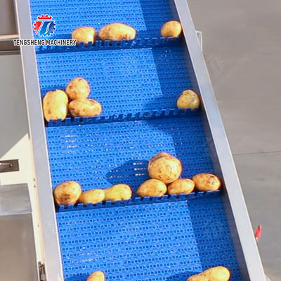 Pre-foaming elevator processing production Destoning Supplying Inspecting Grading Fruit Orange Vegetable Onions horseshoe Ginger Potato Carrot radish Lettuce Baby Cabbage Chinese Cabbage Cabbage