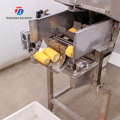 Fruit and vegetable slicing machine  Apple papaya chieh-qua pumpkin wax gourd Potato Carrot radish Taro watermelon Hami Melon cucumber towel gourd balsam pear Baby Cabbage Chinese Cabbage