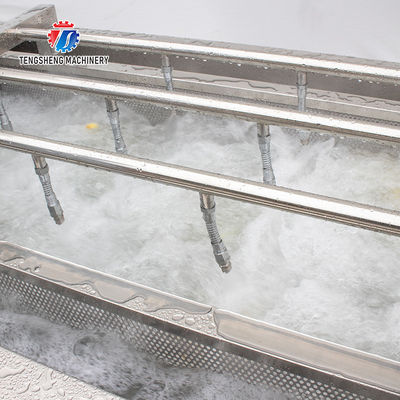 Industrial Fruit And Vegetable Processing Line Brush Bubble Cleaning Drying Selection And Cutting