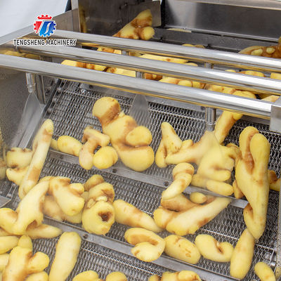 Industrial Fruit And Vegetable Processing Line Brush Bubble Cleaning Drying Selection And Cutting