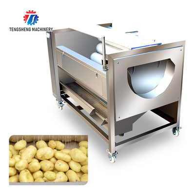 250KG Carrot Brush Cleaning And Peeling Machine Brush Cleaning Machine