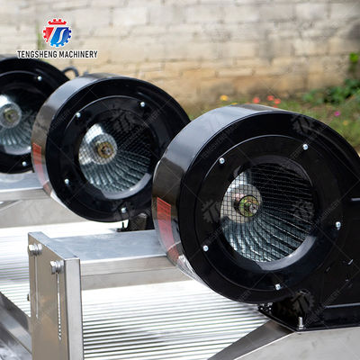 Tengsheng High Voltage Spraying Fruit And Vegetable Processing Line Industrial residual degradation