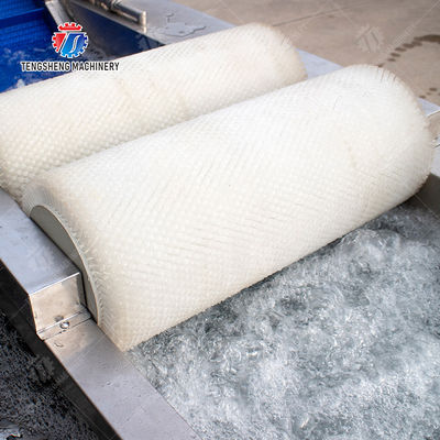 Fruits cleaning and drying production line Fruit Vegetable FOOD processing production Machine