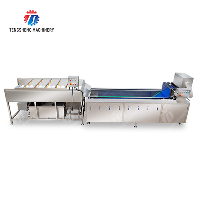 Vegetable and fruit brush and washing production line Fruit Vegetable FOOD processing production Machine