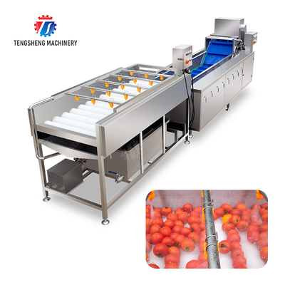 Vegetable and fruit brush and washing production line Fruit Vegetable FOOD processing production Machine