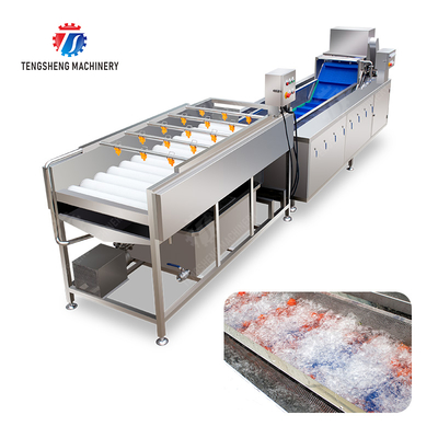 Vegetable and fruit brush and washing production line Fruit Vegetable FOOD processing production Machine