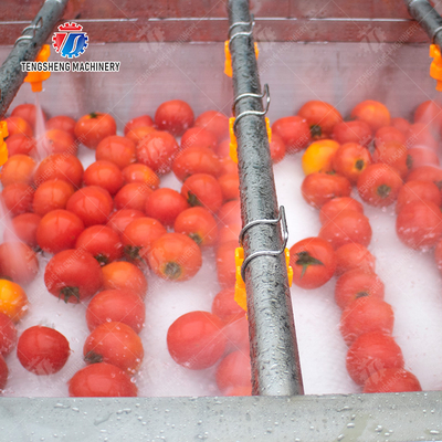 Vegetable and fruit brush and washing production line Fruit Vegetable FOOD processing production Machine