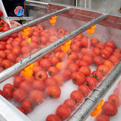 Vegetable and fruit brush and washing production line Fruit Vegetable FOOD processing production Machine