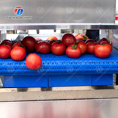Vegetable and fruit brush and washing production line Fruit Vegetable FOOD processing production Machine