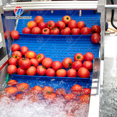 Vegetable and fruit brush and washing production line Fruit Vegetable FOOD processing production Machine