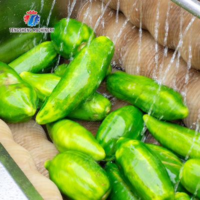 Ginger Potato Carrot Taro Sweet potato Yam Saiko persimmon papaya horseshoe Sealed Cover Type Peeling Machine Wash Washer Washing Cleaning