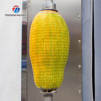papaya chieh-qua pumpkin wax gourd pineapple Vertical single knife peeling machine watermelon Hami Melon Peeling polishing