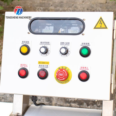 Double head vegetable cutting machine Onions Saiko persimmon papaya Potato Carrot okra Greens Lettuce Cao Xin Baby Cabbage Chinese Cabbage Cabbage Cutting