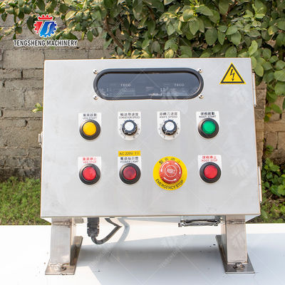 Double head vegetable cutting machine papaya chieh qua pumpkin wax gourd Ginger Potato Carrot radish Taro Sweet potato Yam onion Greens Lettuce Cao Xin Baby Cabbage Chinese Cabbage Cabbage processing