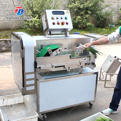 Double head vegetable cutting machine papaya chieh qua pumpkin wax gourd Ginger Potato Carrot radish Taro Sweet potato Yam onion Greens Lettuce Cao Xin Baby Cabbage Chinese Cabbage Cabbage processing