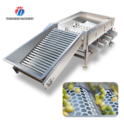 Apple passie fruit en groenten sorteer machine mandarijn passie fruit avocado cherry mango peer banaan mangosteen kiwi fruit fruit sinaasappel groente sla kool selderij boerenkool sorteren
