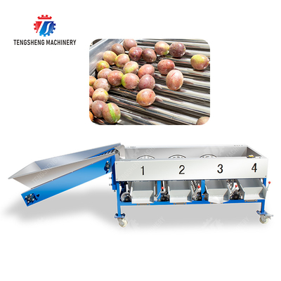 Mandarijn passievrucht avocado kers Mango peer banaan mangosteen kiwi fruit Inspectie Sortering Transport Verwerking productie Sorteermachine voor groenten en fruit
