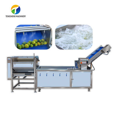 Van de Verwerkingsmachines van de citrusvruchtensteel Geëlimineerde Citroen Industriële de Luchtbelborstel