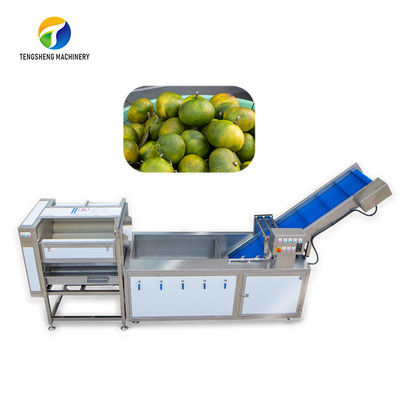 Het stof schrobt Sortment-de Bellen het Controlerende Ananas van de Fruitproductielijn Plantaardige Schoonmaken