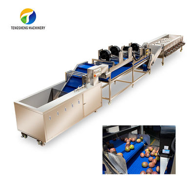 Het Bespuitende Fruit van de Tengshenghoogspanning en de Industriële overblijvende degradatie van de Plantaardige Verwerkingslijn