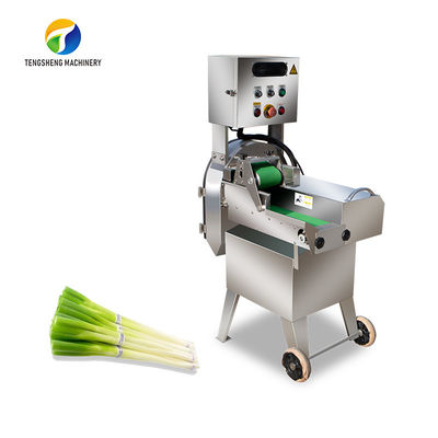 SUS304 van de de Plantaardige Verwerkingsmachine van de tandaandrijving Commerciële de Aandrijving van het de Komkommerstoestel