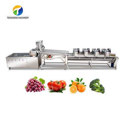 4.5KW fruit en het Materiaal van de de Trillingsdrainage van de Plantaardige Verwerkingslijn