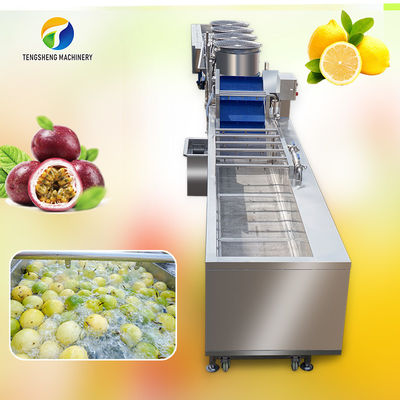 De Schoonmakende en Drogende Sorterende Productielijn van de passievruchtbel